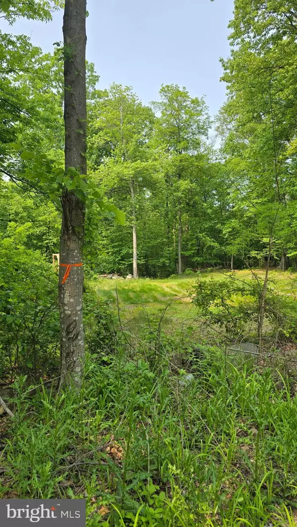 Cascade, MD 21719,RITCHIE RD