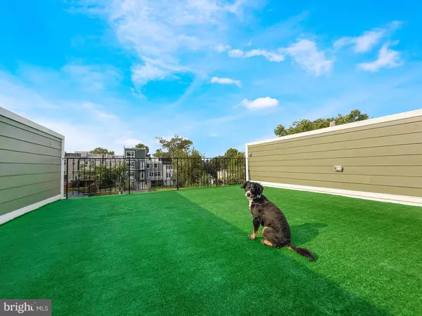 318 WEBSTER ST NW #C, Washington, DC 20011