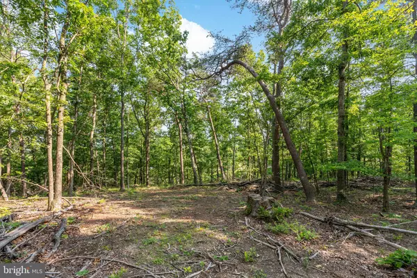 Hedgesville, WV 25427,LOT A SAW MILL ROAD