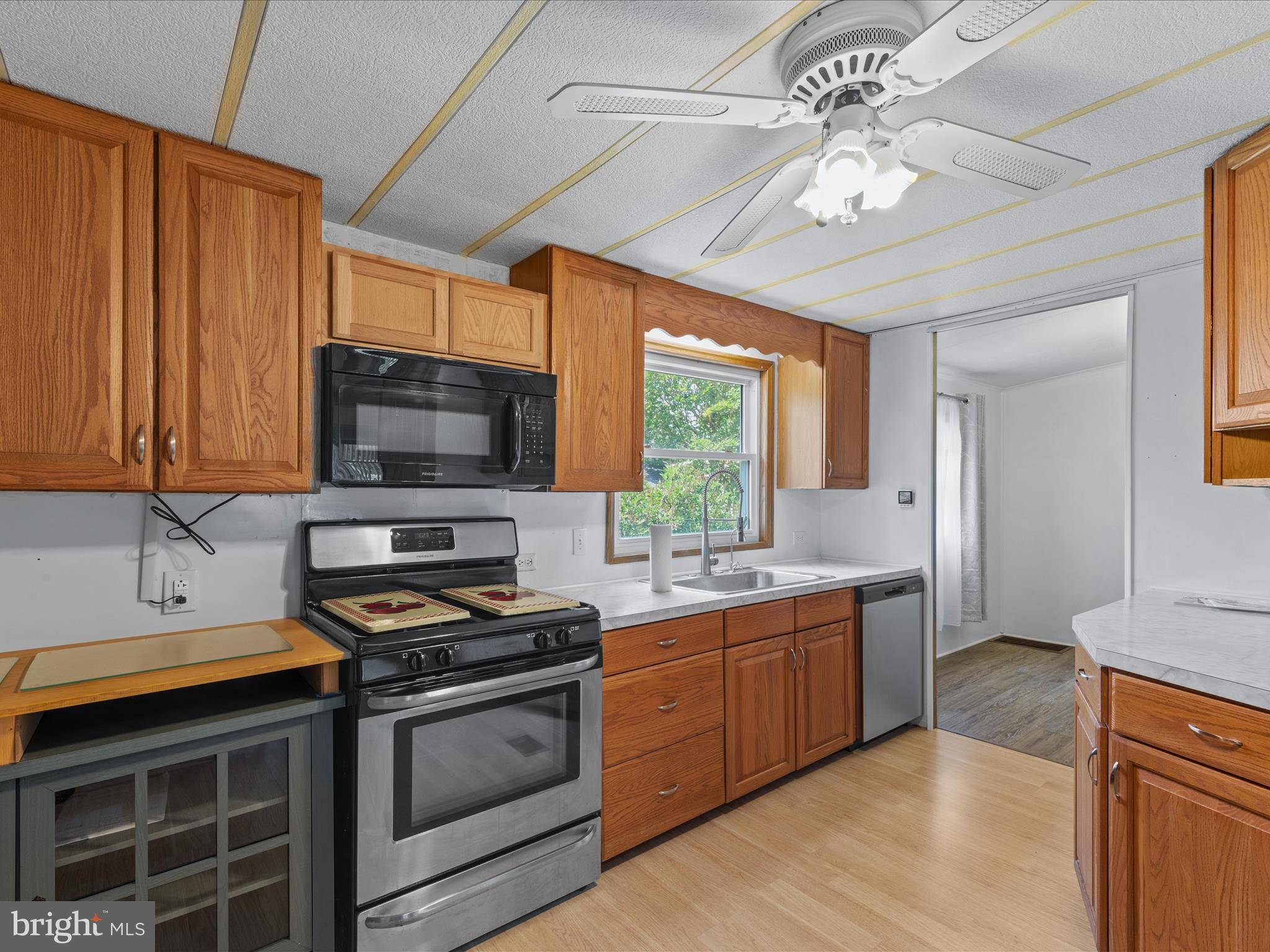 Lewes, DE 19958,33592 ASTER ST