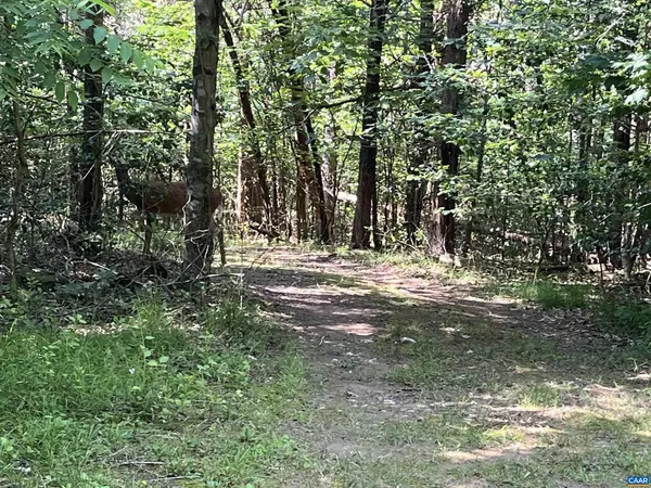 Earlysville, VA 22936,5878A BUFFALO RIVER RD