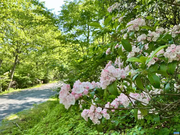 Wintergreen Resort, VA 22967,62 SPLIT ROCK TRL