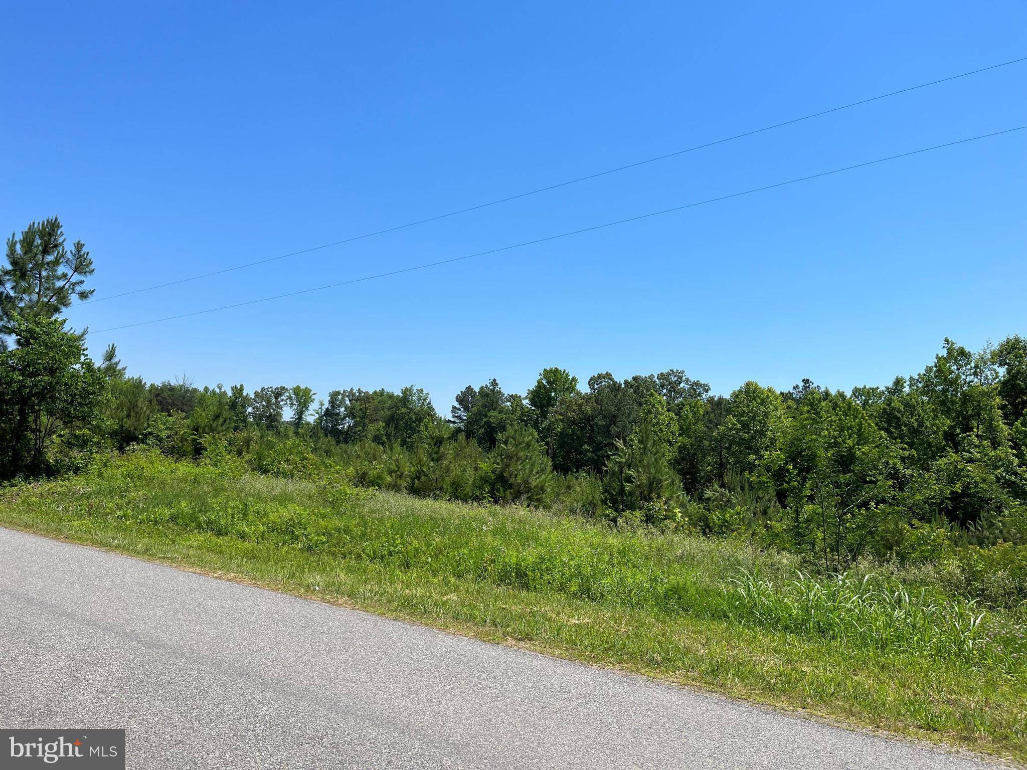 Meherrin, VA 23954,MOUNTAIN CREEK ROAD (RT. 628) (TRACT: BK3208-2)