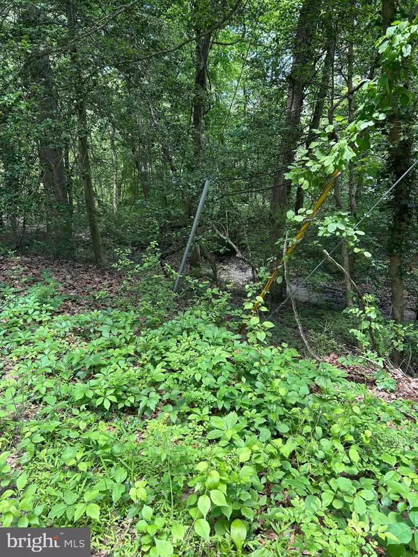 ELM TRAIL, Crownsville, MD 21032