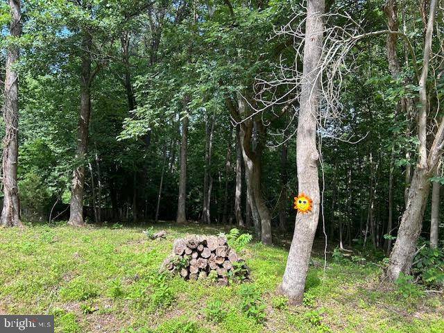 Montross, VA 22520,-LOT 99 AMERICAN DRIVE
