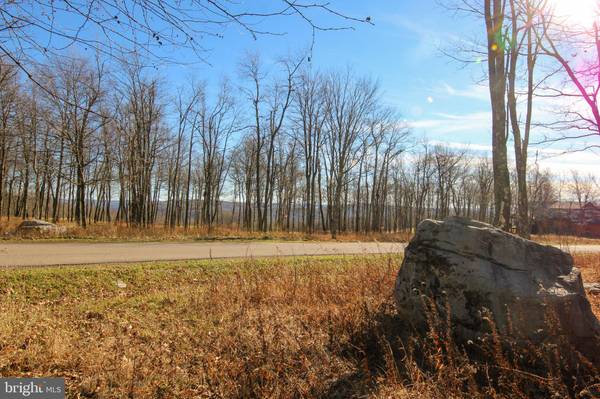 Mc Henry, MD 21541,LOT 50 BILTMORE RIDGE TRL