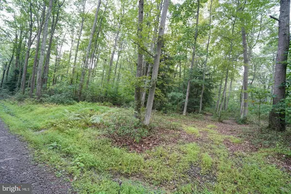 LOTS 22 & 23 BLACK OAK DR, Oakland, MD 21550