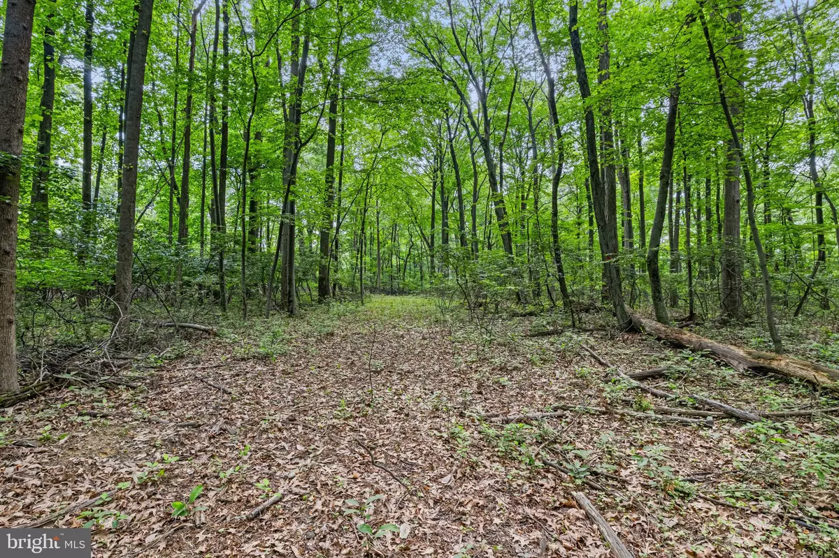 Mount Wolf, PA 17347,JERUSALEM SCHOOL RD