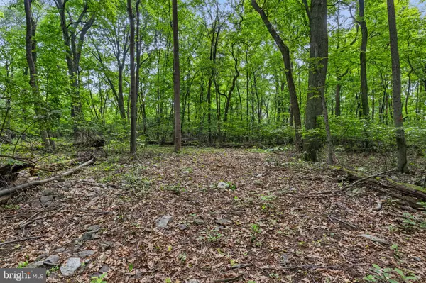 Mount Wolf, PA 17347,JERUSALEM SCHOOL RD