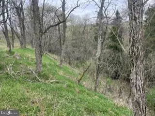Clearfield, PA 16830,LOT ON CALDWELL RD