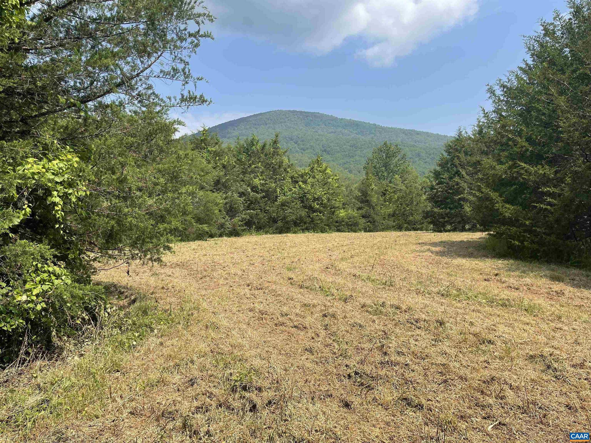 Nellysford, VA 22958,196 HUNTERS PT