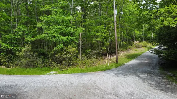 Oakland, MD 21550,FOX TAIL RD