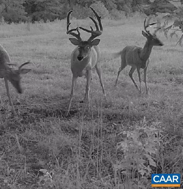 Corbin, VA 22446,4048 OLD GRAIN RD