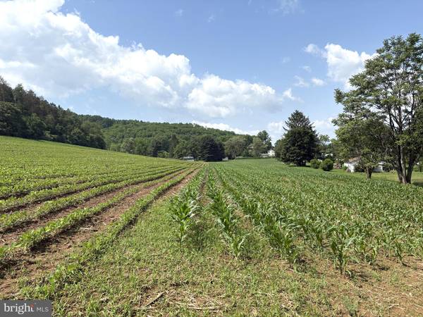 Petersburg, PA 16669,7260 CHILCOTE HOLLOW RD