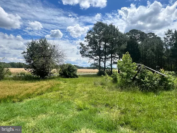 Woolford, MD 21677,4334 BUTTONS NECK RD