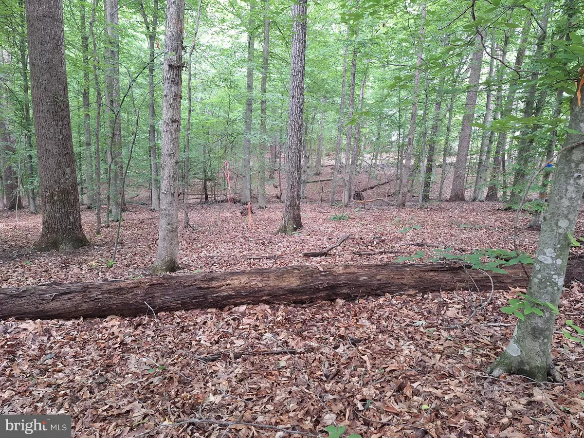 Barboursville, VA 22923,0 ALBANO RD