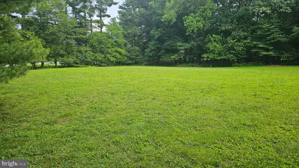 Mount Airy, MD 21771,DOGWOOD