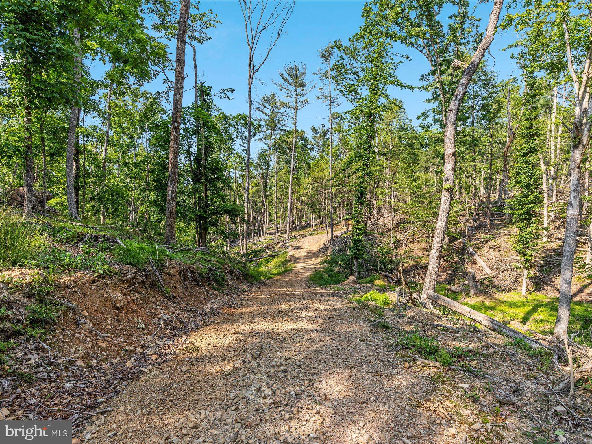Basye, VA 22810,QUAIL RD