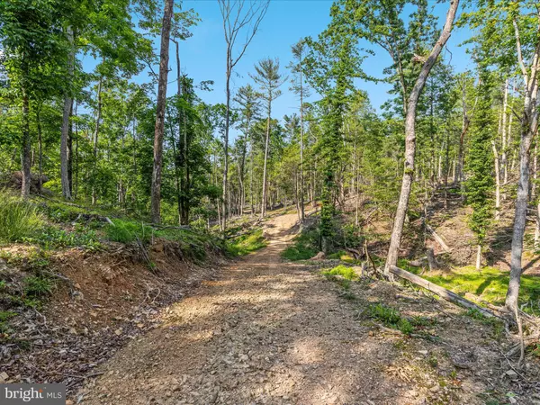 Basye, VA 22810,QUAIL RD