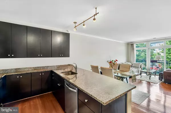 Alexandria, VA 22314,915 N PATRICK ST #206