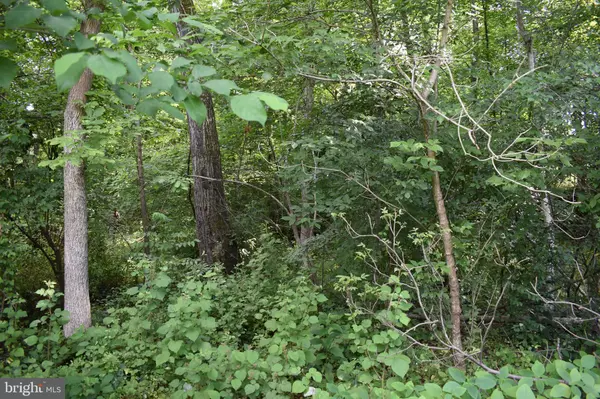 Falling Waters, WV 25419,30 STEPHANIES PL