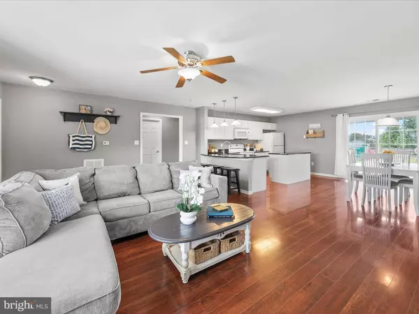 Lewes, DE 19958,21269 ALLIGATOR ALY