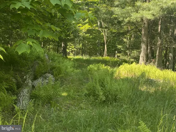 RT 23 (SHARP RIDGE), LOT #3, Franklin, WV 26807