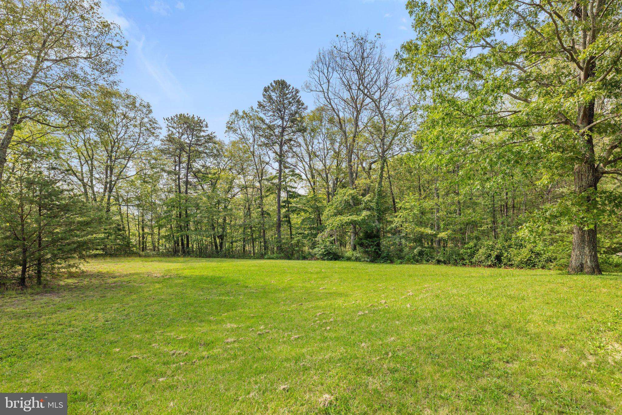 Fort Valley, VA 22652,553 MOUNT OF OLIVES TRL