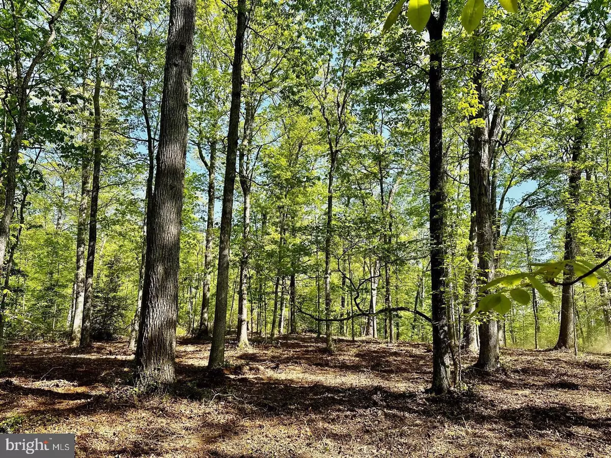 Amissville, VA 20106,00 LOT 3 TAPPS FORD