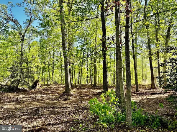 000 LOT 4 TAPPS FORD, Amissville, VA 20106