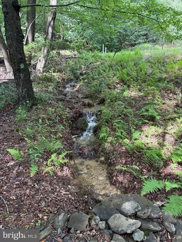 Berkeley Springs, WV 25411,LOT 70 PARKSIDE CT