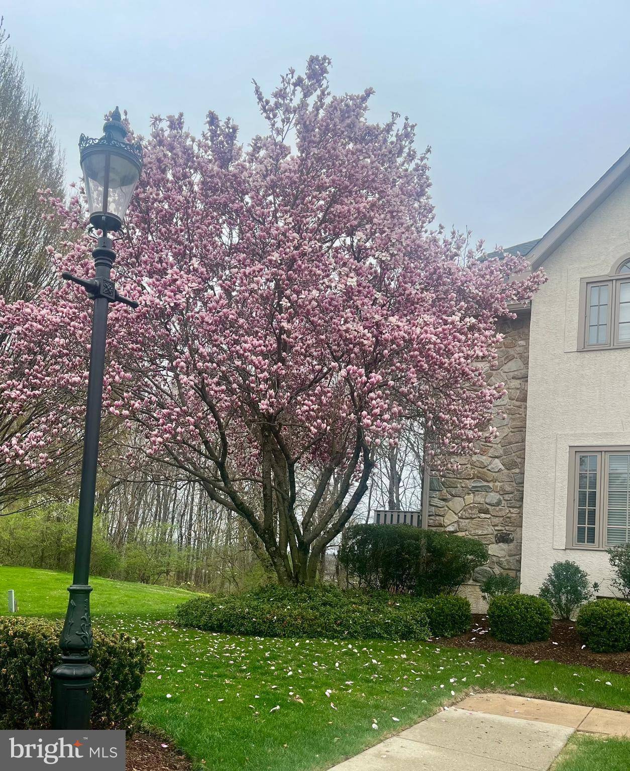Exton, PA 19341,210 CAMBRIDGE CHASE