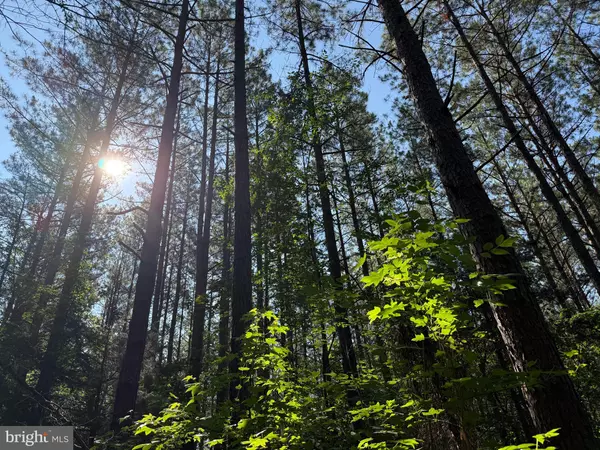 Jetersville, VA 23083,TBD SELMA RD TRACT 1