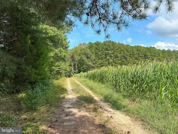 DAVIS LOWGROUND ROAD (TRACT: BIG JUNIPER-2), Keysville, VA 23947