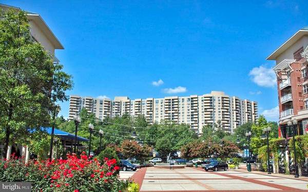 1101 S ARLINGTON RIDGE RD #704, Arlington, VA 22202