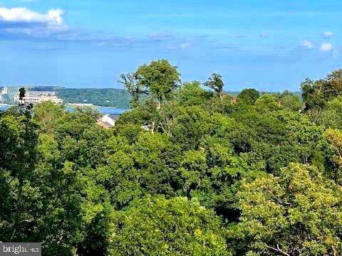 Alexandria, VA 22303,5904 MOUNT EAGLE DR #716