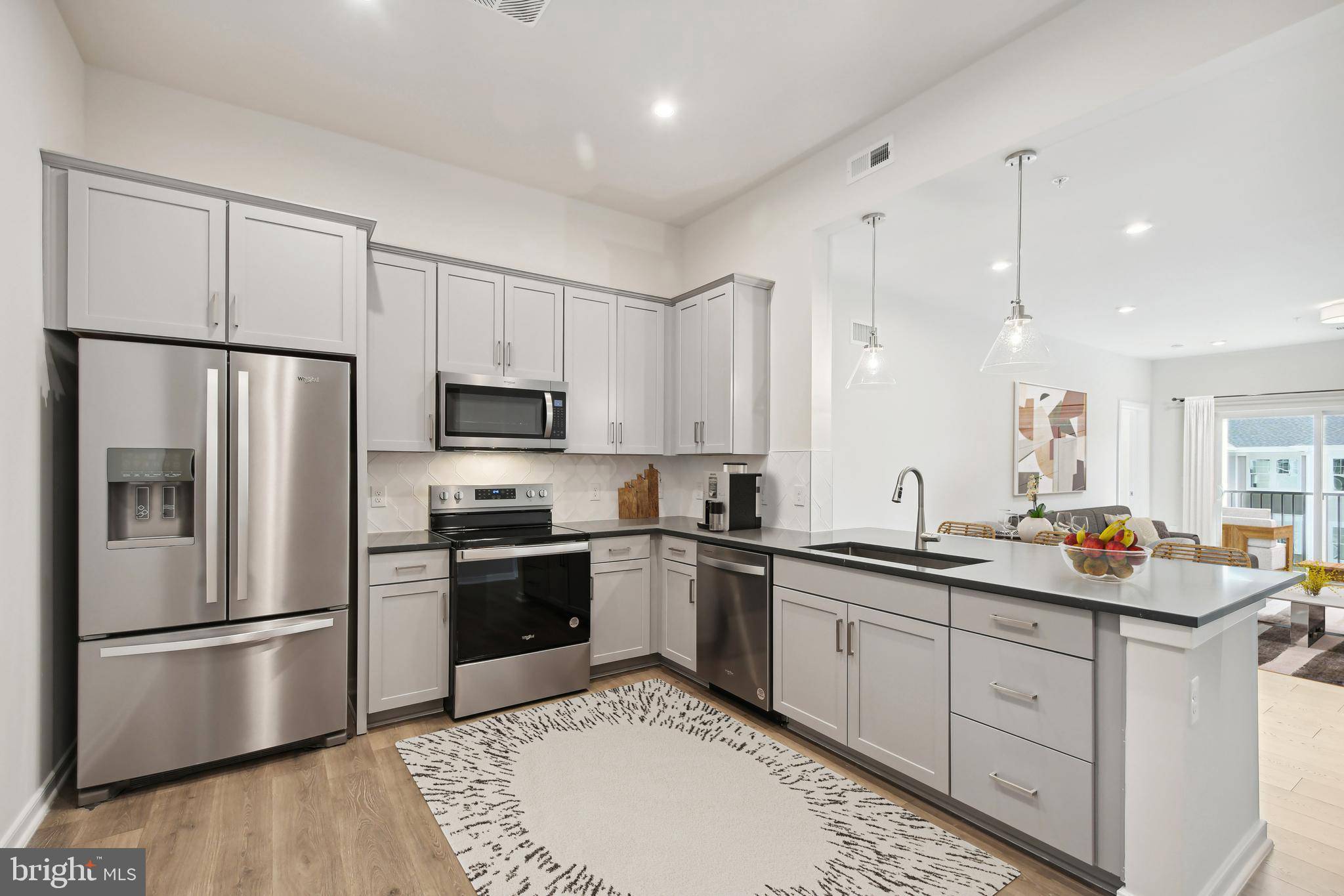 700 MOUNT AIRY TER NE #205, Leesburg, VA 20176