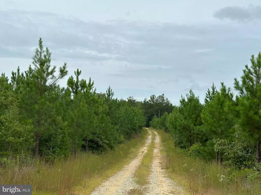 Bowling Green, VA 22427,BETHLEHEM ROAD (RT. 636) (TRACT: BETHLEHEM-1)