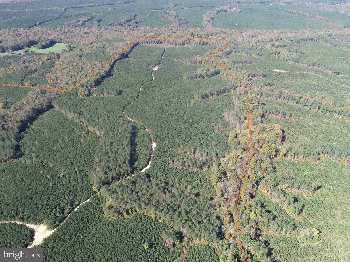 Cumberland, VA 23040,CUMBERLAND RD. (ST. RT. 45) (TRACT GUINEA MILLS-1)