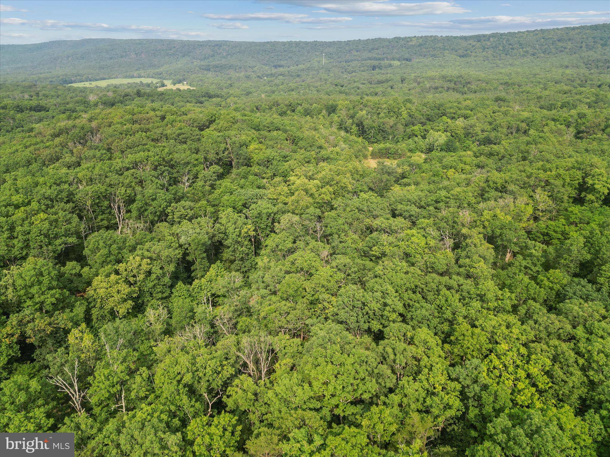 Hedgesville, WV 25427,MITCHEM LN
