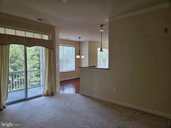 Abingdon, MD 21009,309 TIREE CT #203