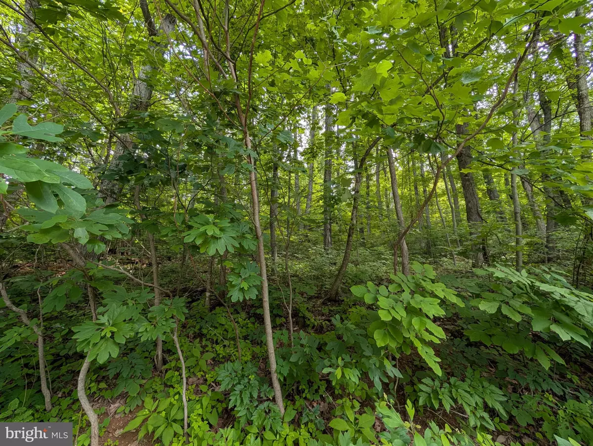 Front Royal, VA 22630,LOT 106 BLUEBIRD WAY