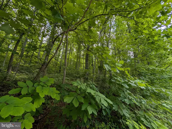 Front Royal, VA 22630,LOT 106 BLUEBIRD WAY