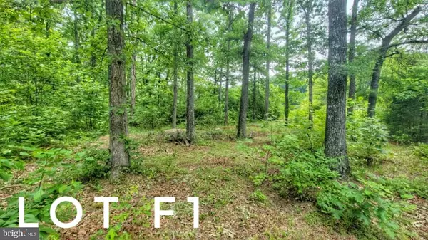 Gum Spring, VA 23065,F1 ORCHID LAKE DR