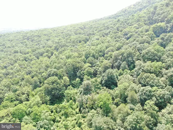 Mercersburg, PA 17236,42.68+/- ACRES HUNTER ROAD