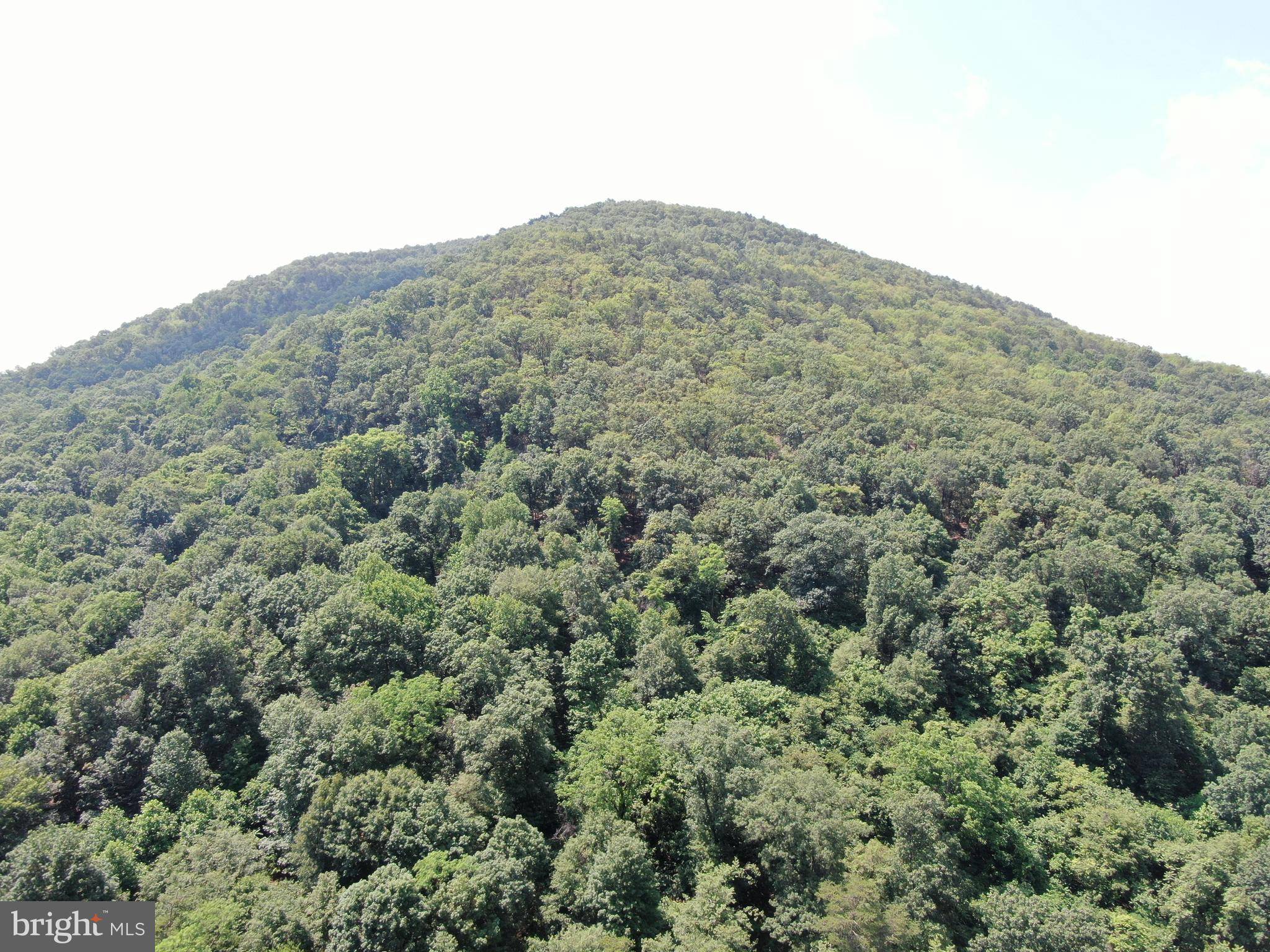 Mercersburg, PA 17236,42.68+/- ACRES HUNTER ROAD