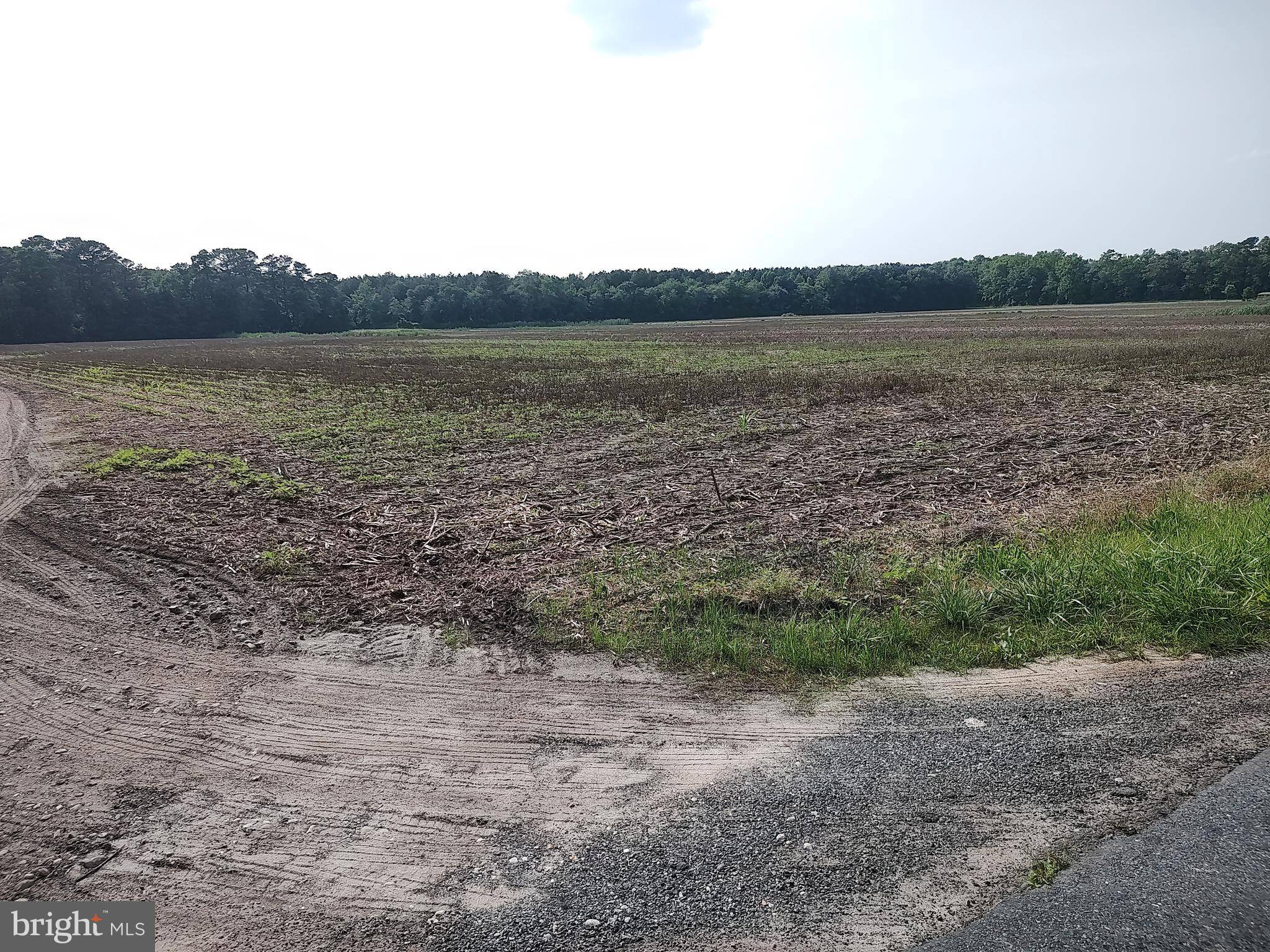 0 ROUNDS RD,  Pittsville,  MD 21850