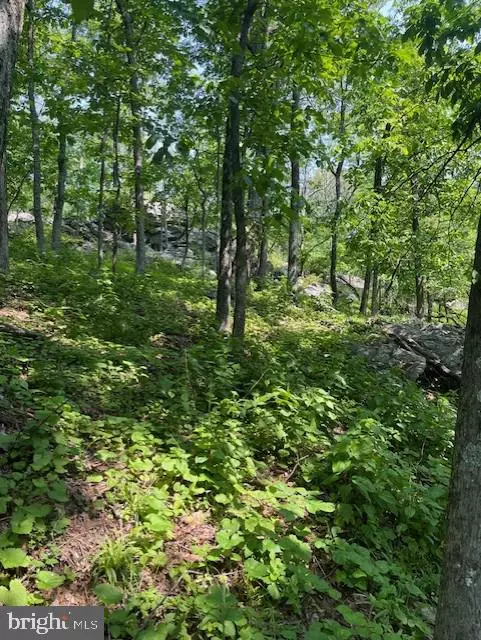 Knoxville, MD 21758,REED RD