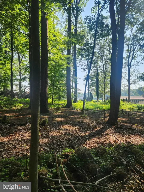 Street, MD 21154,3977 STREET RD