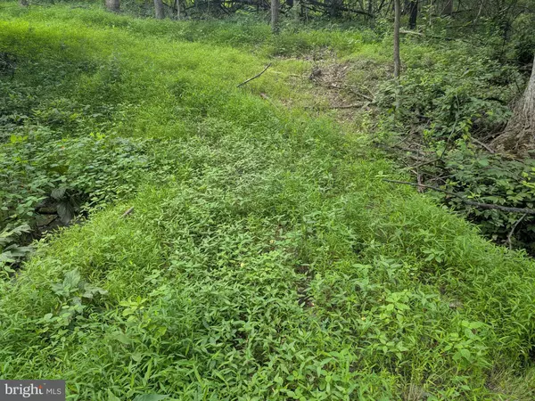 Harpers Ferry, WV 25425,6.1 AND 1.57 ACRES CHESTNUT HILL RD